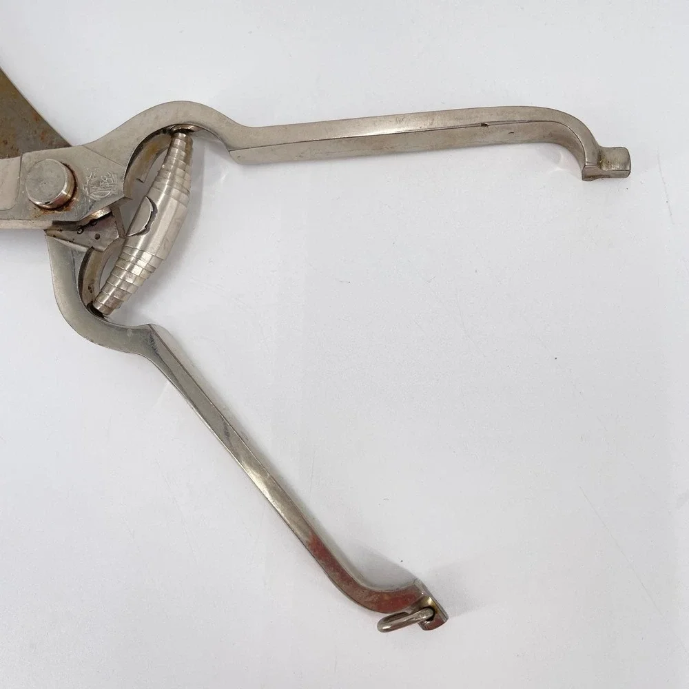 Plated Carbon Steel SL Co Solingen German Poultry Game Shears Bone Cutter SLC
